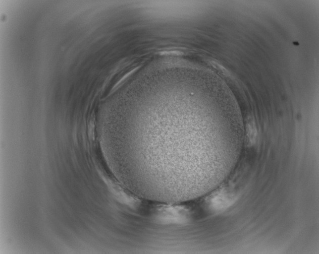 X0000058780379200510031026