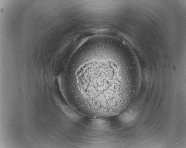 X0000058780380200510031026