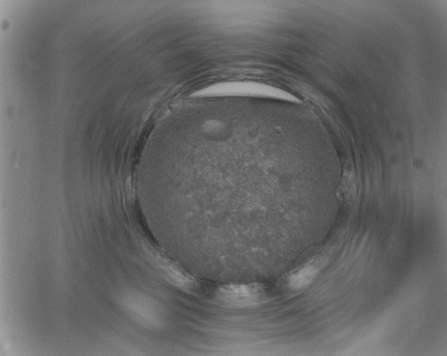 X0000058780381200510031026