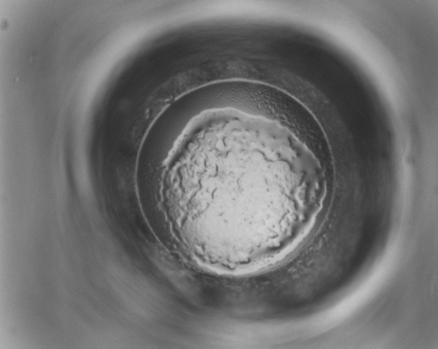 X0000058780382200510031026