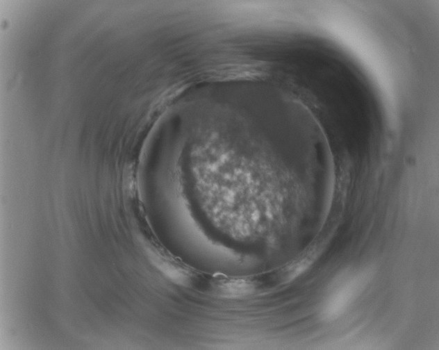 X0000058780383200510031026