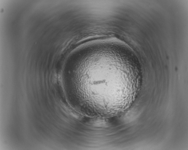 X0000058780384200510031026