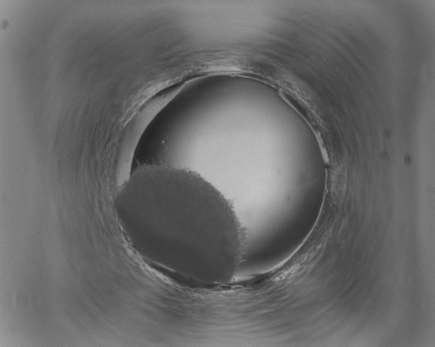 X0000058780385200510031025