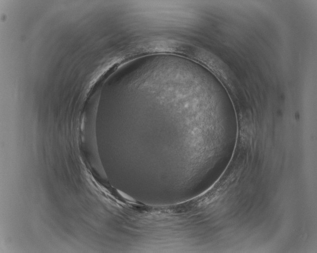 X0000058780386200510031025