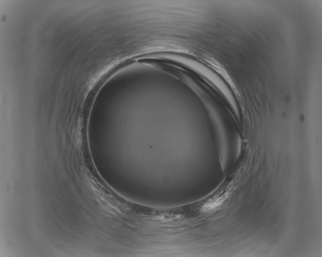 X0000058780387200510031025