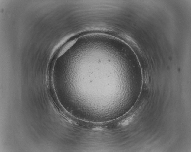 X0000058780388200510031025