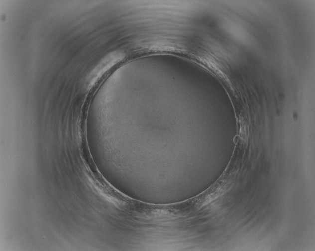 X0000058780390200510031025