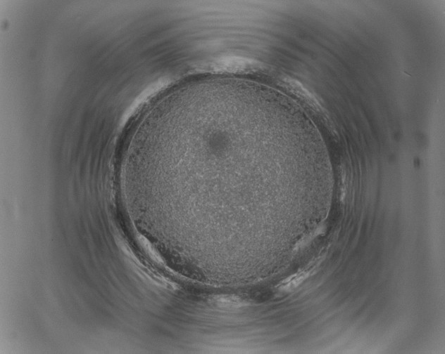 X0000058780392200510031025