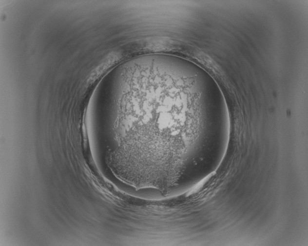 X0000058780393200510031025