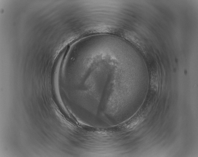 X0000058780394200510031025