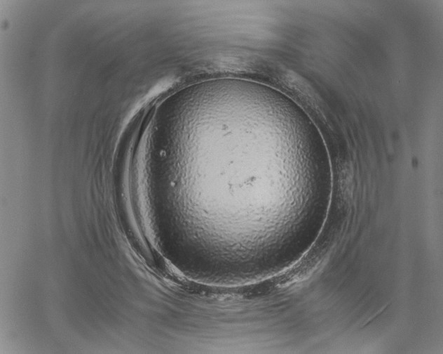 X0000058780395200510031025