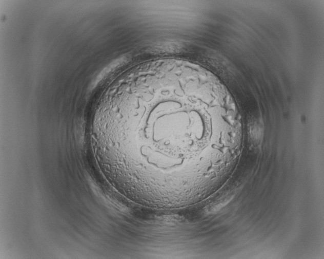 X0000058780396200510031025