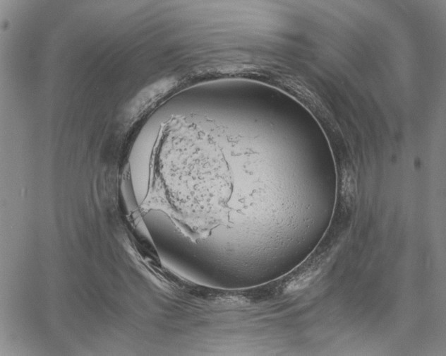 X0000058780397200510031025