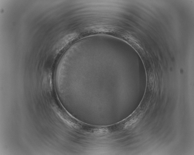 X0000058780398200510031025