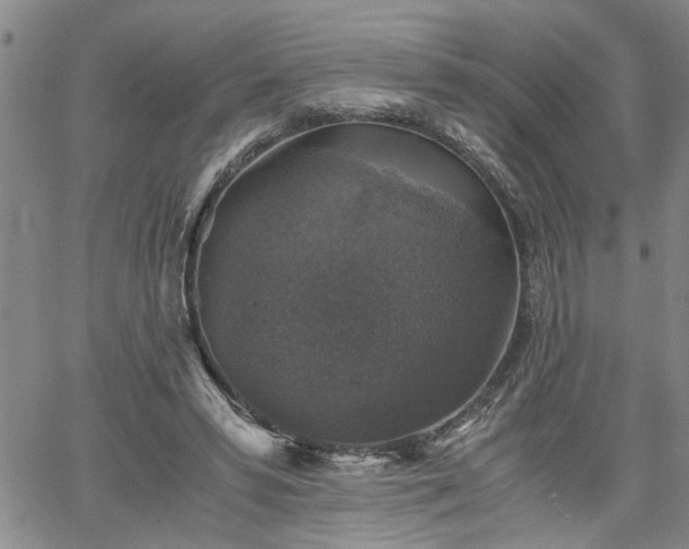 X0000058780399200510031025