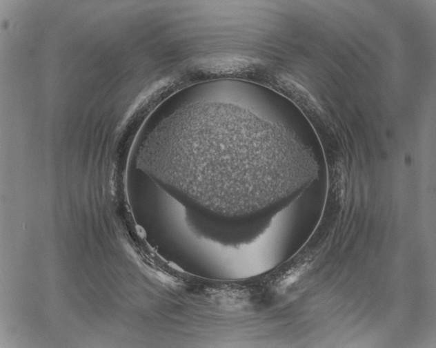 X0000058780400200510031025