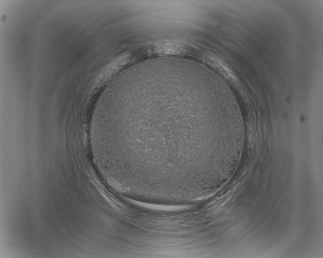 X0000058780401200510031025