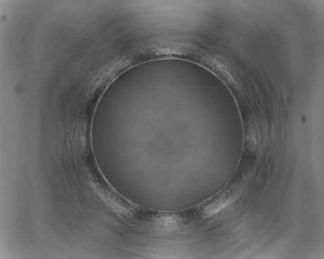 X0000058780402200510031025