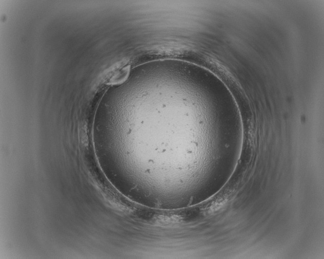 X0000058780403200510031025