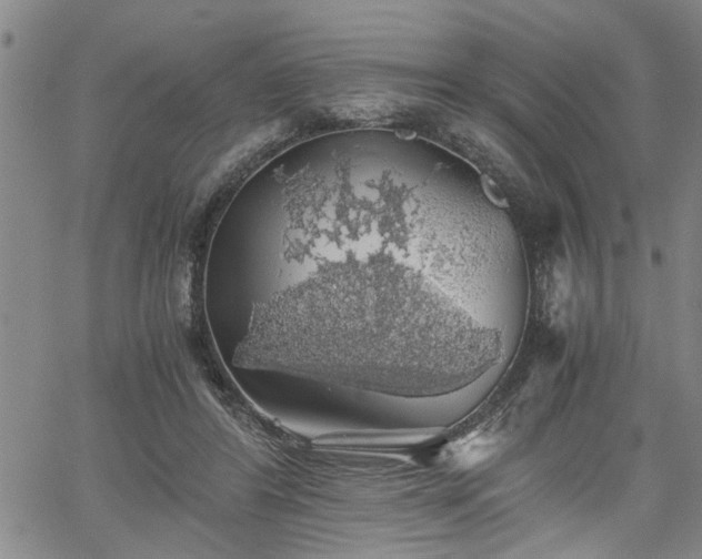 X0000058780404200510031025