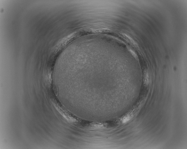 X0000058780405200510031025