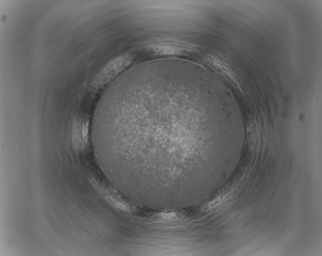 X0000058780406200510031025