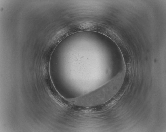 X0000058780408200510031025