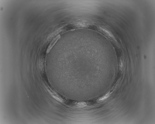 X0000058780409200510031025