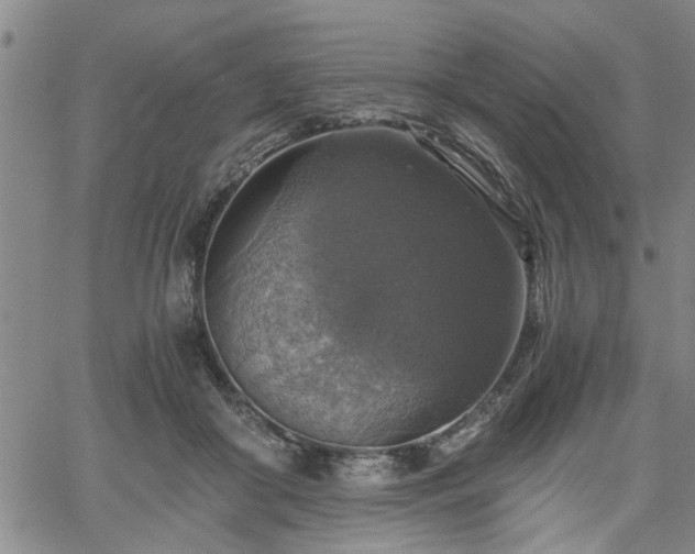 X0000058780410200510031025