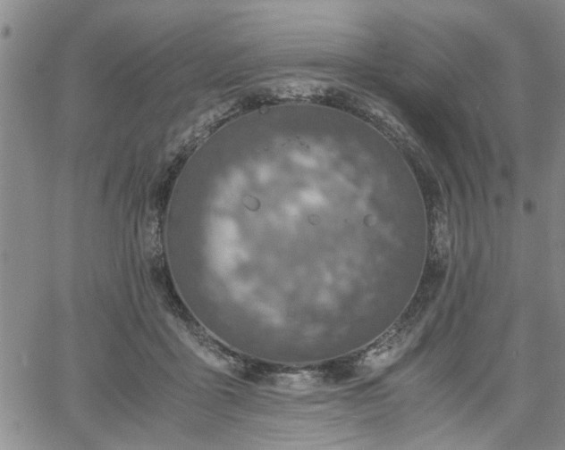 X0000058780411200510031025