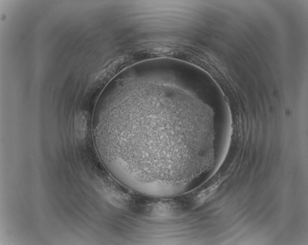 X0000058780412200510031025