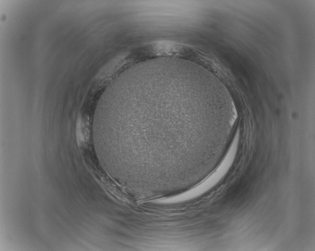 X0000058780413200510031025