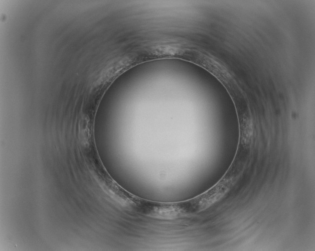 X0000058780414200510031025