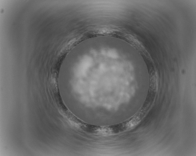 X0000058780415200510031025