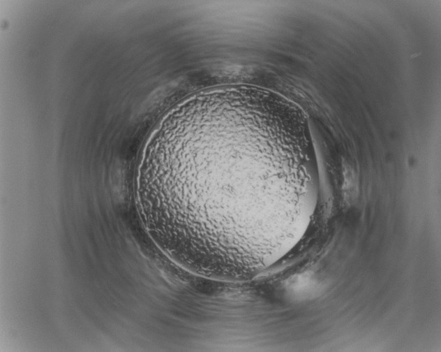 X0000058780416200510031025