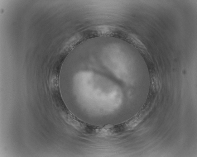 X0000058780419200510031025