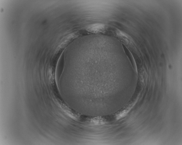 X0000058780420200510031025