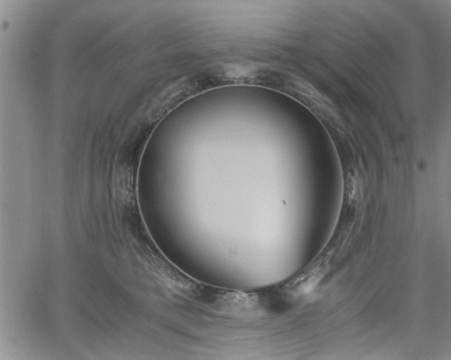 X0000058780421200510031025