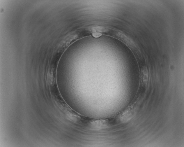 X0000058780422200510031025