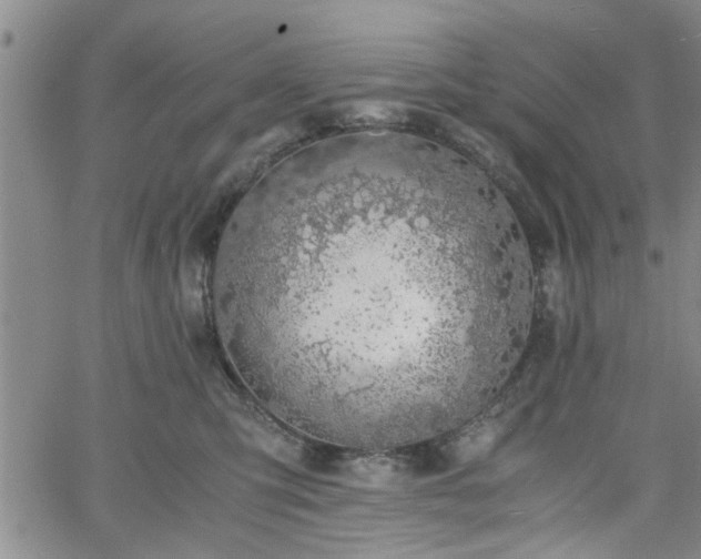 X0000058780423200510031025