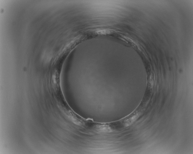 X0000058780424200510031025