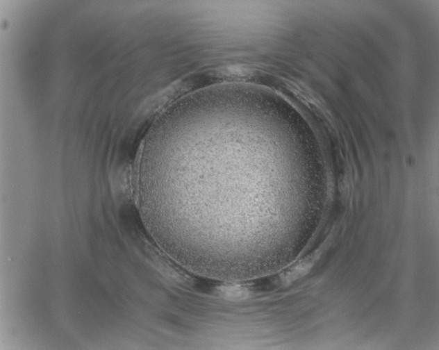 X0000058780425200510031025