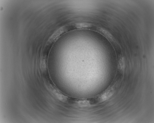 X0000058780426200510031025