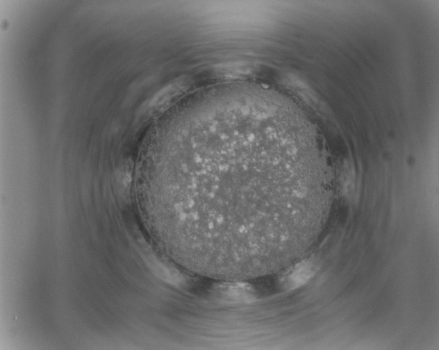 X0000058780427200510031025