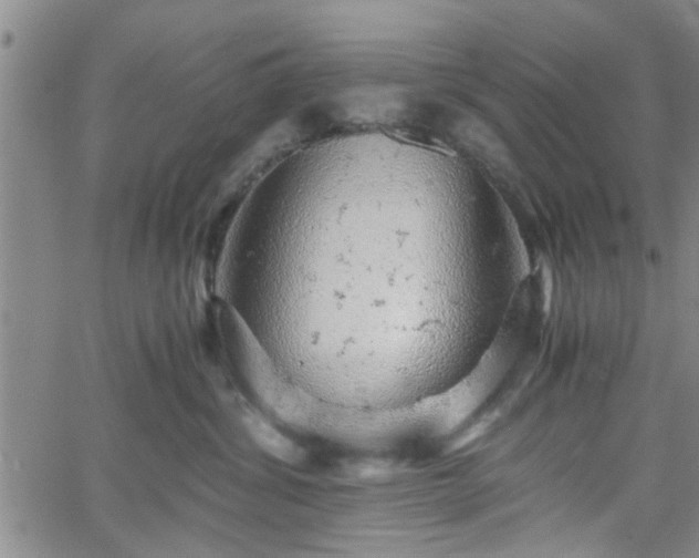 X0000058780428200510031025