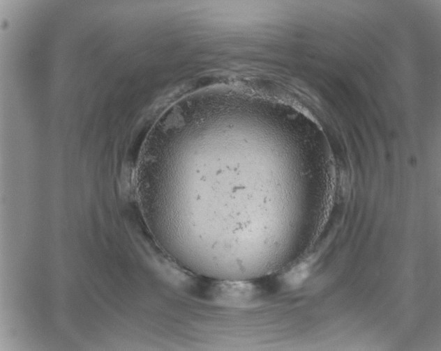 X0000058780429200510031025