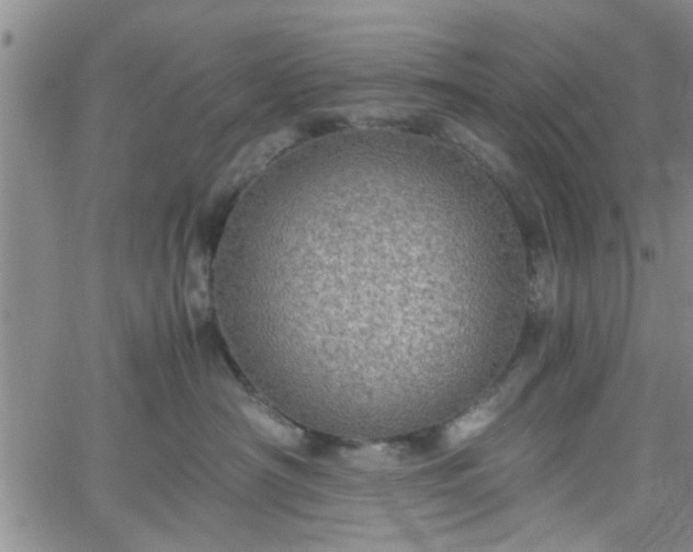 X0000058780430200510031025