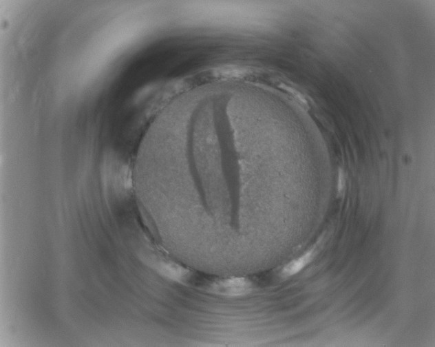 X0000058780431200510031025