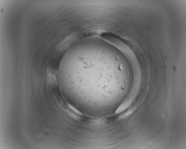 X0000058780432200510031025