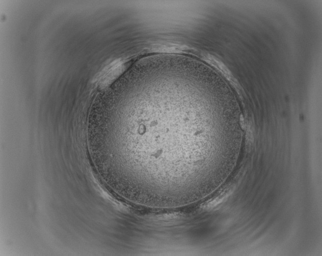 X0000058780433200510031024